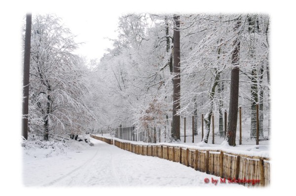 Nordareal Wolfspark im Schnee